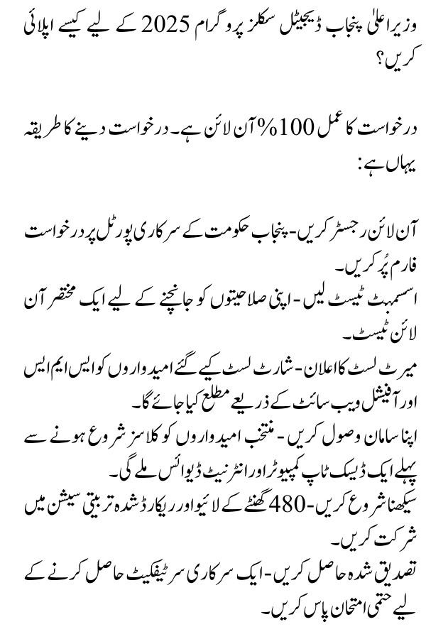 CM Punjab Maryam Nawaz Digital Skills Program