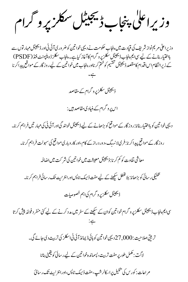 Punjab Digital Skills Program