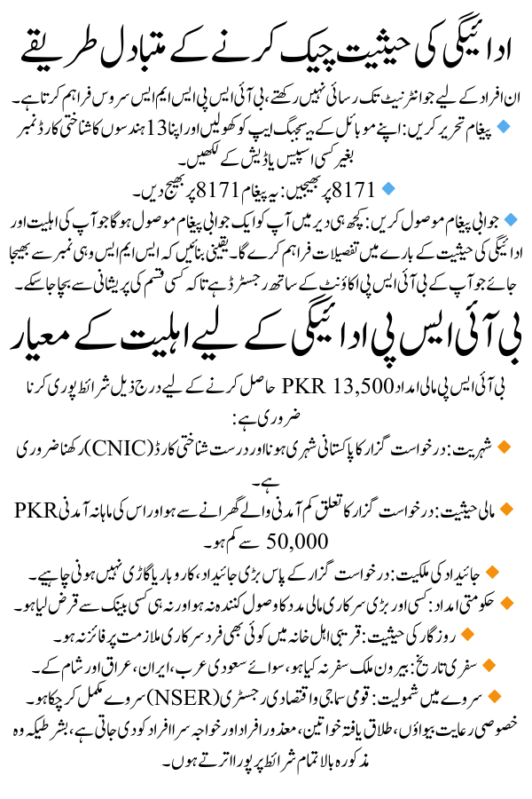 BISP 13500 Payment